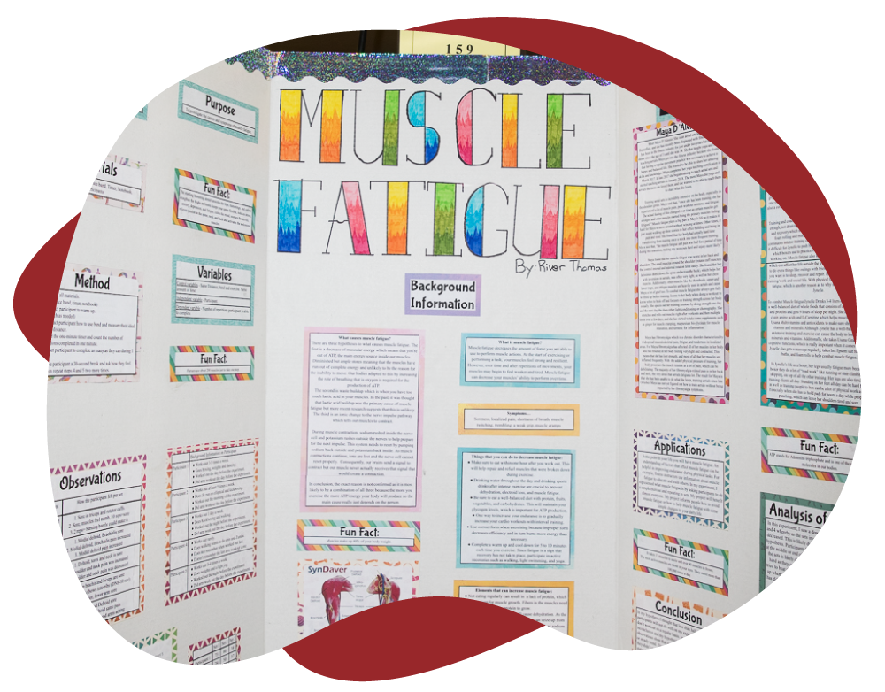 Science Fair Project: Muscle Fatigue